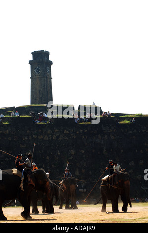 Galle Fort Elefant Polospiel Stockfoto