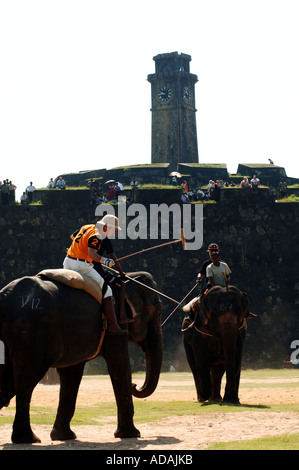 Galle Fort Elefant Polospiel Stockfoto