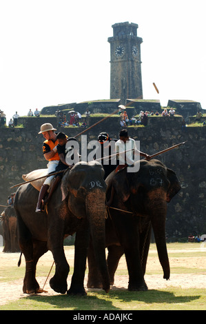 Galle Fort Elefant Polospiel Stockfoto