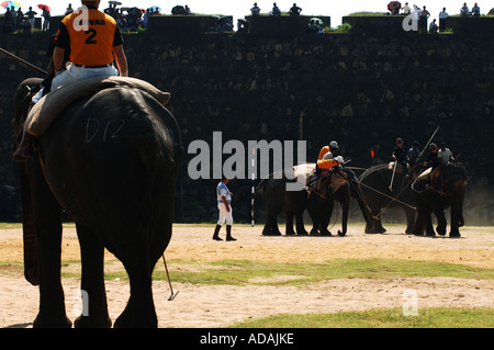 Galle Fort Elefant Polospiel Stockfoto