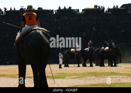 Galle Fort Elefant Polospiel Stockfoto