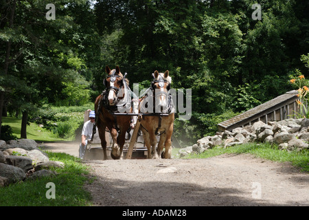 Pferd-Team ziehen Wagen bergauf Stockfoto