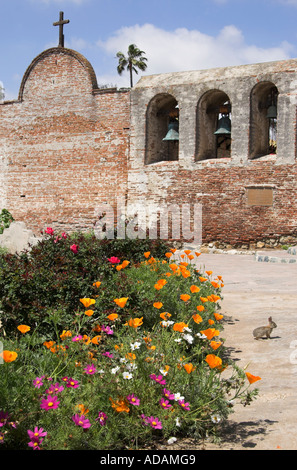 Blühenden Frühlingsblumen, Mission Basilica San Juan Capistrano, Kalifornien, USA Stockfoto