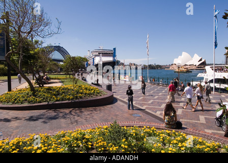 Die Holland America Line Kreuzfahrtschiff Amsterdam am Circular Quay Sydney New South Wales Australien gefesselt Stockfoto