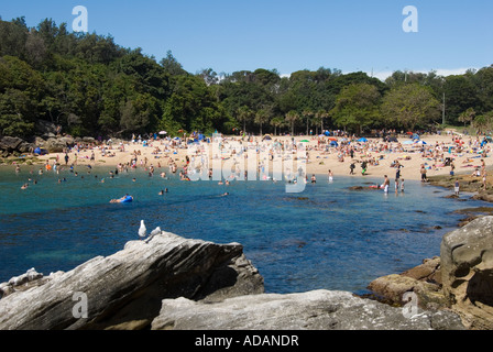 Shelly Beach Manly Sydney New South Wales Australien Stockfoto