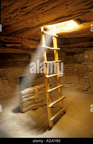 Zimmer in Fichte Baumhaus Mesa Verde Colorado USA Stockfoto