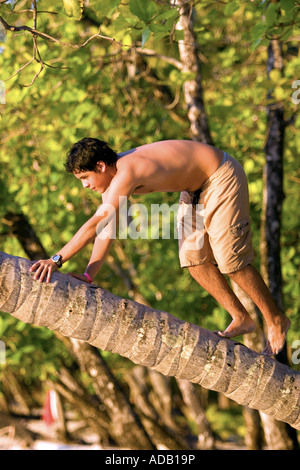 junge klettern einer schiefen Palme Stockfoto