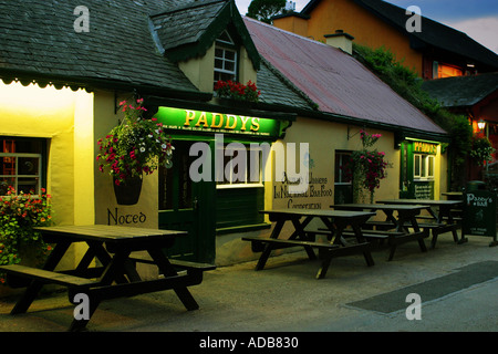 Paddy Bar Pub Terryglass Irland Stockfoto