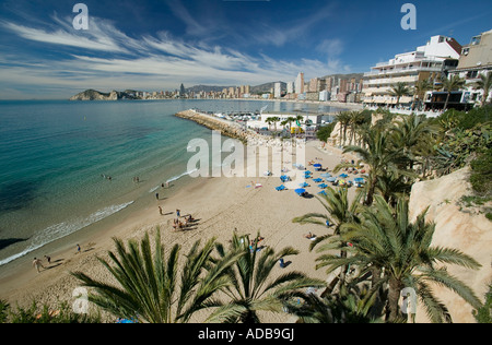 Blick auf Pontiente Strand von Balcon del Mediterraneo Benidorm Costa Blanca Spanien Stockfoto