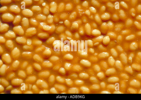 Gebackene Bohnen in Tomatensoße Stockfoto