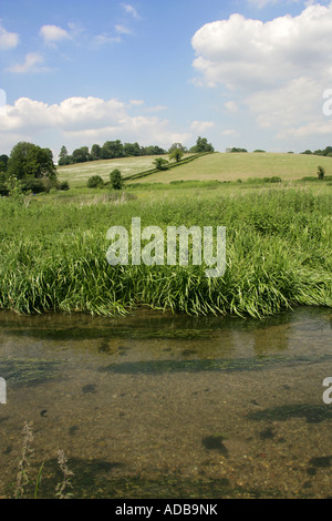 Fluss-Schach und Chiltern Hills in Schach Frühlingstal Hertfordshire Stockfoto