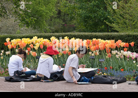 Kunststudenten im Brooklyn Botanical Garden Stockfoto