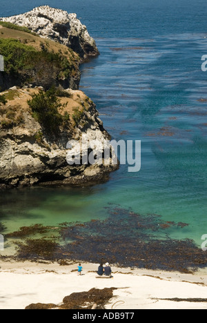 China Strand am Point Lobos, Kalifornien Stockfoto