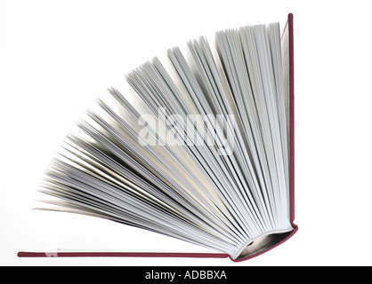 Seiten eines aufgeschlagenen Buches Stockfoto