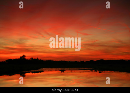 Roter Sonnenaufgang über dem Greenham park Stockfoto