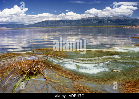 Algen und Salz am Rand des San Luis Lakes Colorado USA Stockfoto