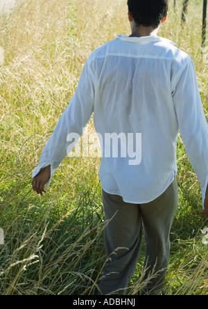 Mann zu Fuß durch Feld, Rückansicht Stockfoto