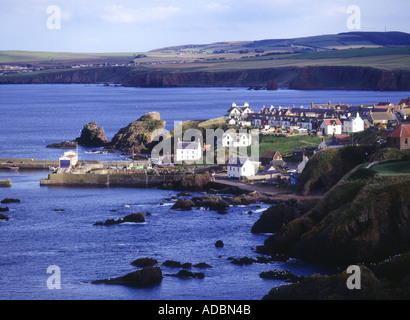 dh Harbor ST ABBS GRENZT AN schottische Fischerdörfer Häuser auf Klippen felsigen Küste Blick Küstenlinie berwickshire Stockfoto