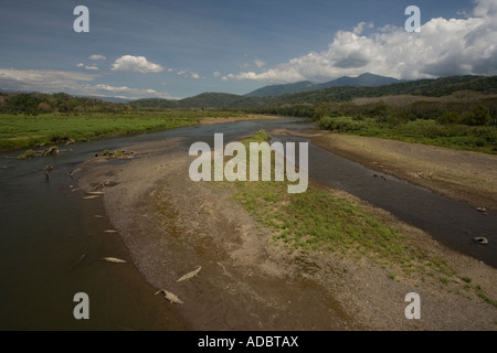 Blick auf den Tarcolis-Fluss mit Carara Nationalpark jenseits und amerikanische Krokodile am Ufer Crocodylus acutus Stockfoto