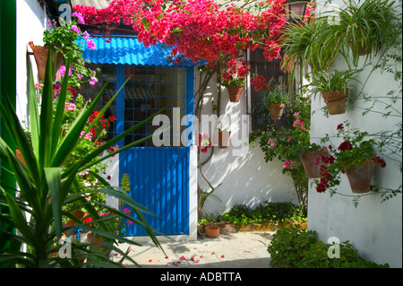 Viele private Terrassen und Innenhöfe für das "Festival de Patios" in Cordoba, in Andalusien, im Mai eines jeden Jahres geöffnet Stockfoto