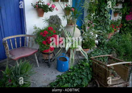 Eines der vielen private Terrassen und Innenhöfe in Cordoba für das "Festival de Patios" eröffnet im Mai jedes Jahr Stockfoto