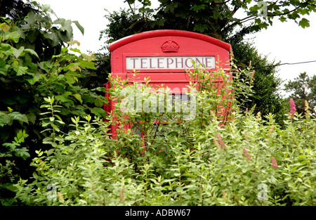 Überwuchert und wenig gebrauchte rote BT Telefonzelle am Cefngorwydd in der Nähe von Llanwrtyd Wells Powys Wales UK Stockfoto