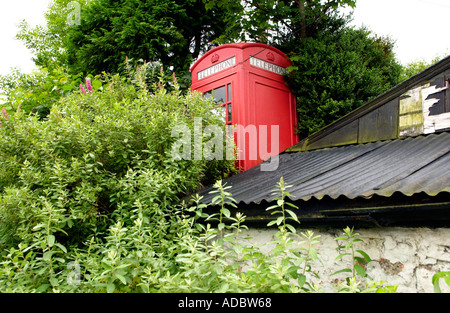 Überwuchert und wenig gebrauchte rote BT Telefonzelle am Cefngorwydd in der Nähe von Llanwrtyd Wells Powys Wales UK Stockfoto