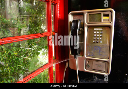 Überwuchert und wenig gebrauchte rote BT Telefonzelle am Cefngorwydd in der Nähe von Llanwrtyd Wells Powys Wales UK mit Spinnweben auf dem Mobilteil Stockfoto