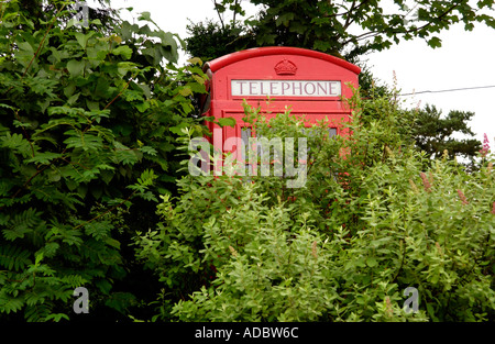 Überwuchert und wenig gebrauchte rote BT Telefonzelle am Cefngorwydd in der Nähe von Llanwrtyd Wells Powys Wales UK Stockfoto