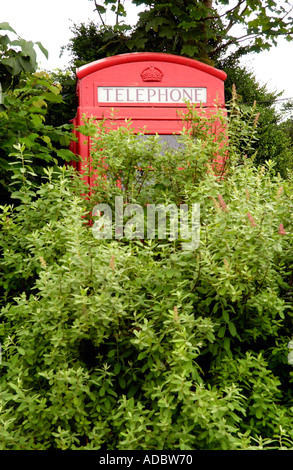 Überwuchert und wenig gebrauchte rote BT Telefonzelle am Cefngorwydd in der Nähe von Llanwrtyd Wells Powys Wales UK Stockfoto