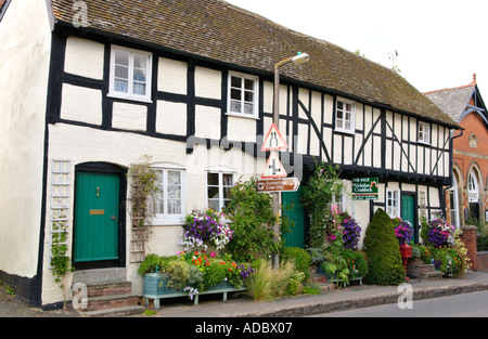 Reihe von schwarzen und weißen Holz gerahmt Cottages im Pembridge Herefordshire England UK Stockfoto