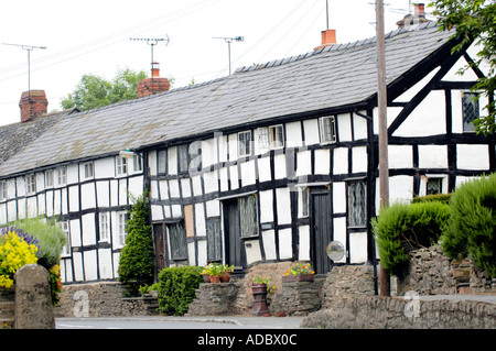 Reihe von schwarzen und weißen Holz gerahmt Cottages im Pembridge Herefordshire England UK Stockfoto