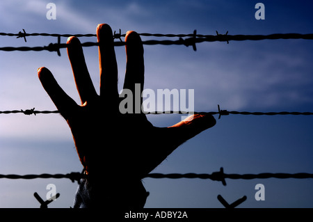 Hand Griff nach Stacheldraht im Gefängnis Palisaden Konzept Stockfoto