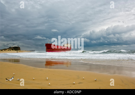 40000 Tonnen Massengutfrachter Pascha Bulker im Juni 2007 auf Nobbys Strand geblasen Sturm Newcastle New South Wales Australien Stockfoto