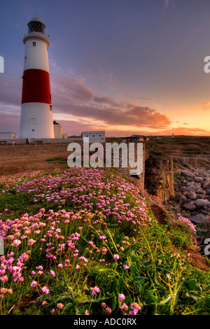 Portland Bill Leuchtturm in der Dämmerung von der Klippe mit Massen von Meer rosa Sparsamkeit Armeria maritima in Blume genommen Stockfoto