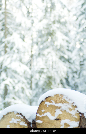 Stapel von Schnee bedeckten Protokolle Stockfoto