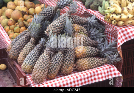 Sainte Anne Marktständen neben Pflaster verkauft breite Palette von Obst und Gemüse Produkte in eine bunte Anzeige hautnah Stockfoto