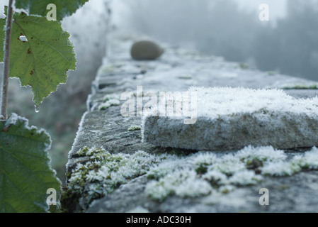 Frost bedeckt Steinmauer Stockfoto