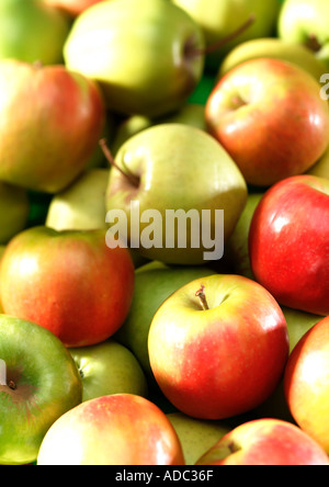 Beschnittzugabe Schuss Gruppe von Äpfel rot und grün-Porträt Stockfoto