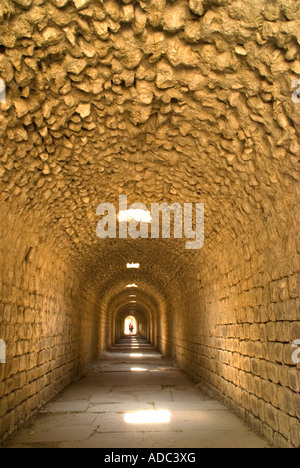 Gewölbte Tunnel in den Ruinen der römischen Heilung Zentrum von Asclepion, am antiken Pergamon, in der Nähe von Bergama, Türkei Stockfoto