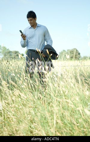 Geschäftsmann, stehen im Feld, mit Blick auf Handy Stockfoto