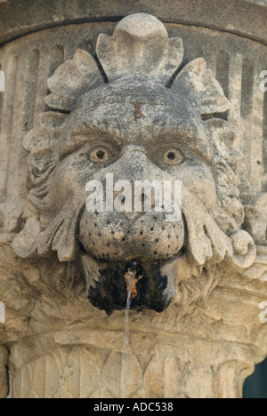 Löwen Kopf Carven auf einem Brunnen in Gundulic Platz Altstadt von Dubrovnik Kroatien Stockfoto