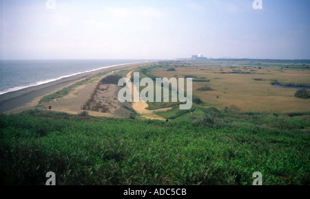 Küsten Blick, Blick nach Süden vom Dunwich Heide Klippen über Minsmere in Richtung Kernkraftwerk Sizewell Suffolk England Stockfoto