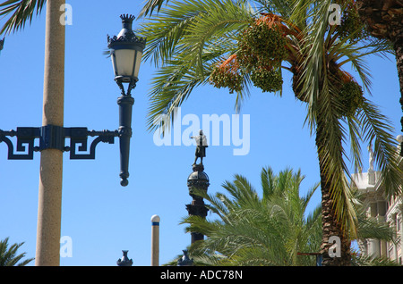 Blick auf den Passeig de Colom Barcelona Barça Catalunya Catalonia Katalonien Costa Brava España Spanien Europa Stockfoto