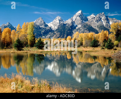 Grand Teton National Park in Wyoming zeigt einen Biber Teich Schwabaker Landing entlang des Snake River im Herbst Stockfoto