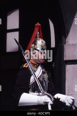 Blues & Royals Trooper, Horseguards Parade, Whitehall, London Stockfoto