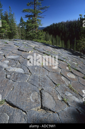 Gletschern polierte Basaltsäulen (Draufsicht), der Teufel Postpile National Monument, Kalifornien, USA Stockfoto