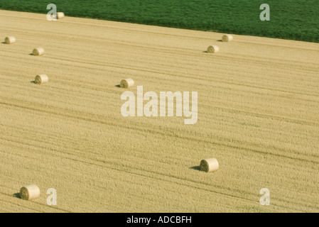 Heuballen im Feld Stockfoto