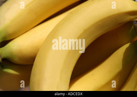 Bananen - Nahaufnahme Landschaft von Teilen der Bananen im Sonnenschein füllen der Rahmen Stockfoto