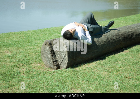 Geschäftsmann auf Baumstamm liegend Stockfoto